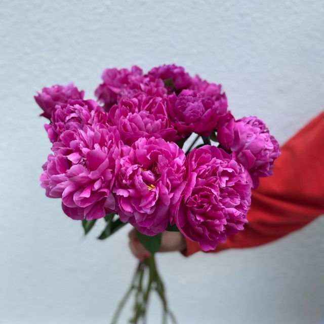 Fête des Mères🌸🌸 Le moment idéal pour choisir la pivoine dans vos bouquets. #fleuriste #pivoine #fleurdesaison #fleuristebiarritz