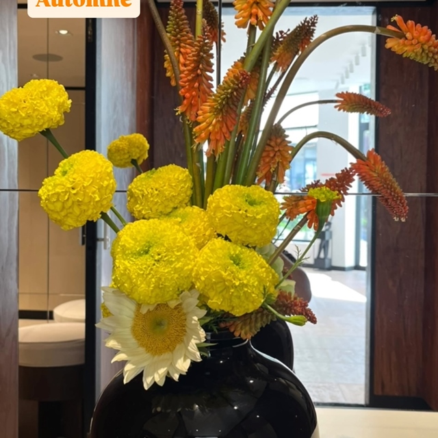 @chanelofficial L’automne pointe le bout de son nez… #fleuristebiarritz #fleuriste #biarritz #berryfleursdebiarritz #abonnementfloral